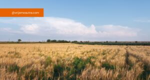 Vrijemesutra.com: Vaš vodić kroz oblake